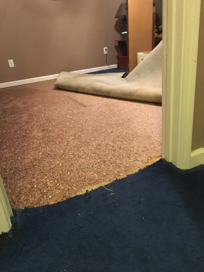 Carpet pad removal revealing water damage during Drying & Dehumidification in Evans
